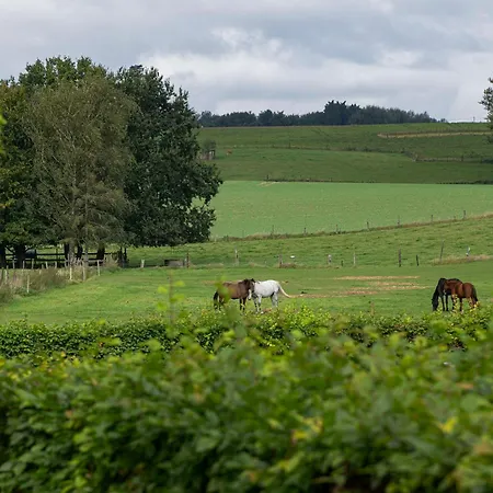 Natuur Bertem