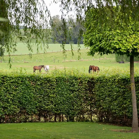 Natuur 4* Bertem